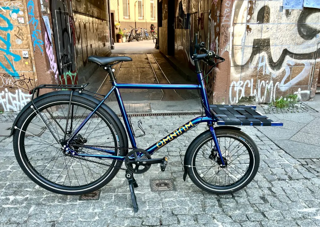 070 - Omnium - Mini Alfine 8 Gates - blurple - L